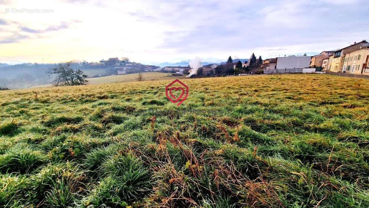 Terrain à SALIES-DU-SALAT