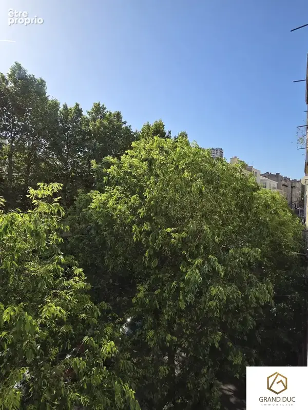 Grand appartement rare balcon 13003 - photo 13