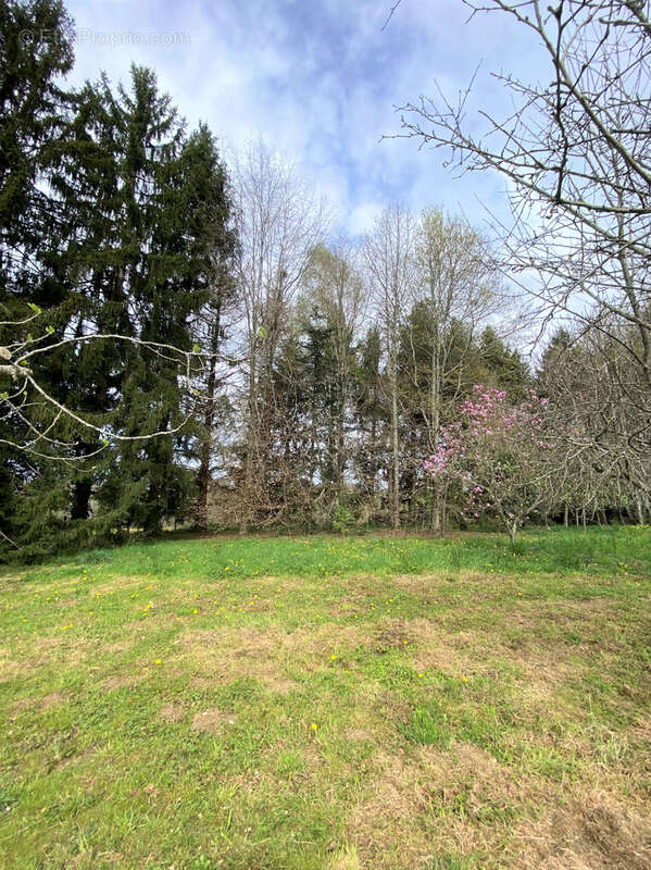 Maison à LUCQ-DE-BEARN