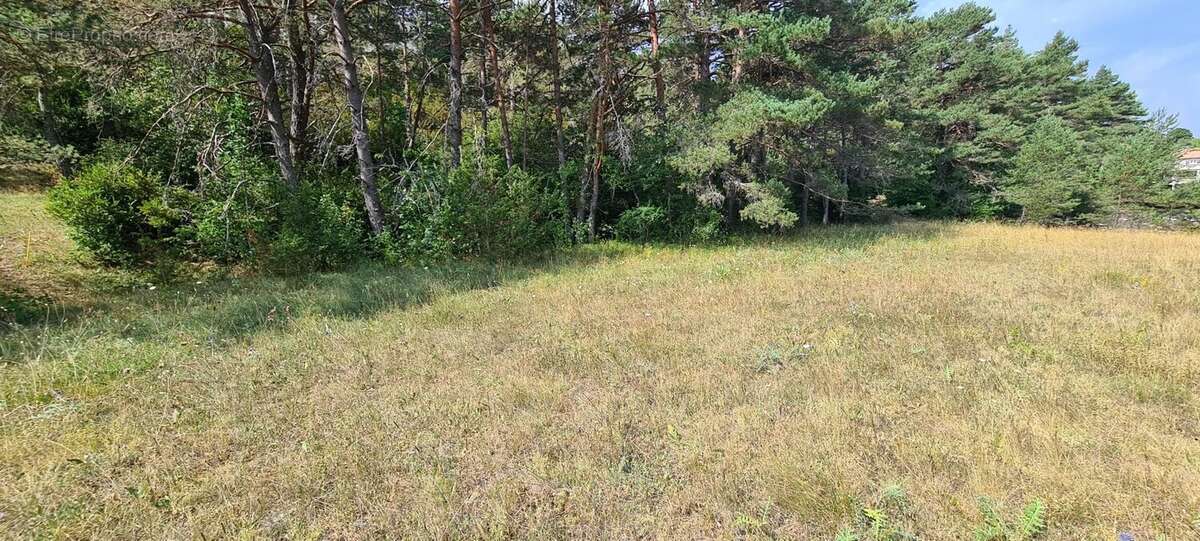 Terrain constructible de 1 990 m² – Un cadre naturel privilégié - photo 2
