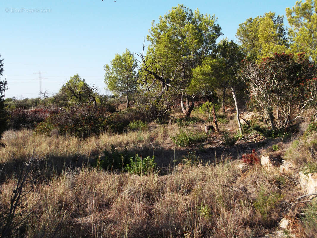 Terrain à PERPIGNAN