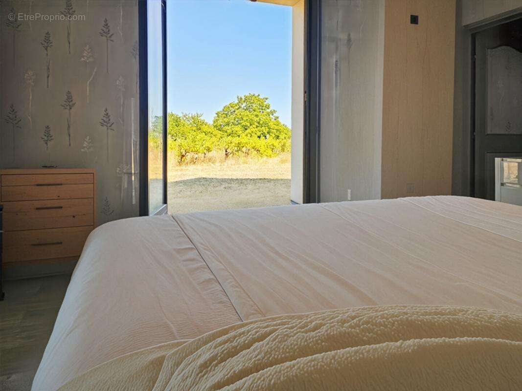 Bellevigne-en-Layon - Propriété de 250 m²  - 2 habitations - Piscine chauffée - Plus d'1 hectare de terrain - photo 10