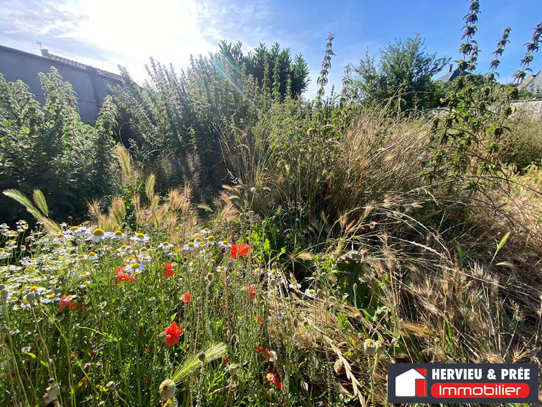 Terrain à LUC-SUR-MER