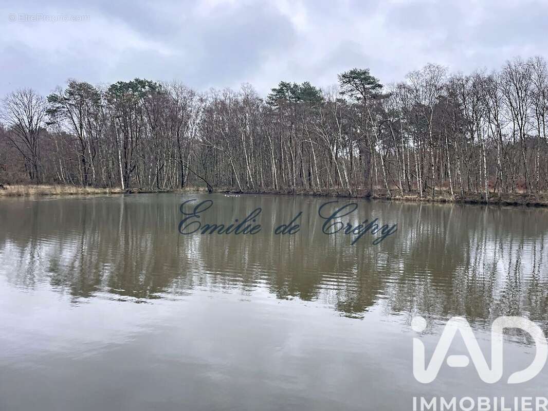 Photo 4 - Maison à LAMOTTE-BEUVRON