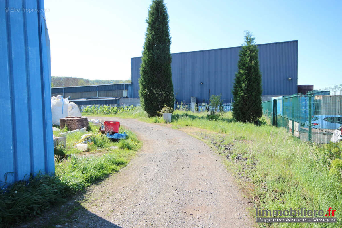 Commerce à CHAMPIGNEULLES