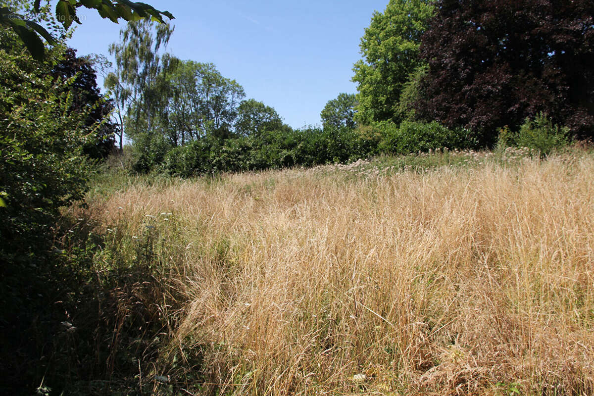 Hébécourt TERRAIN  calme et verdoyant constructible à VENDRE - photo 5