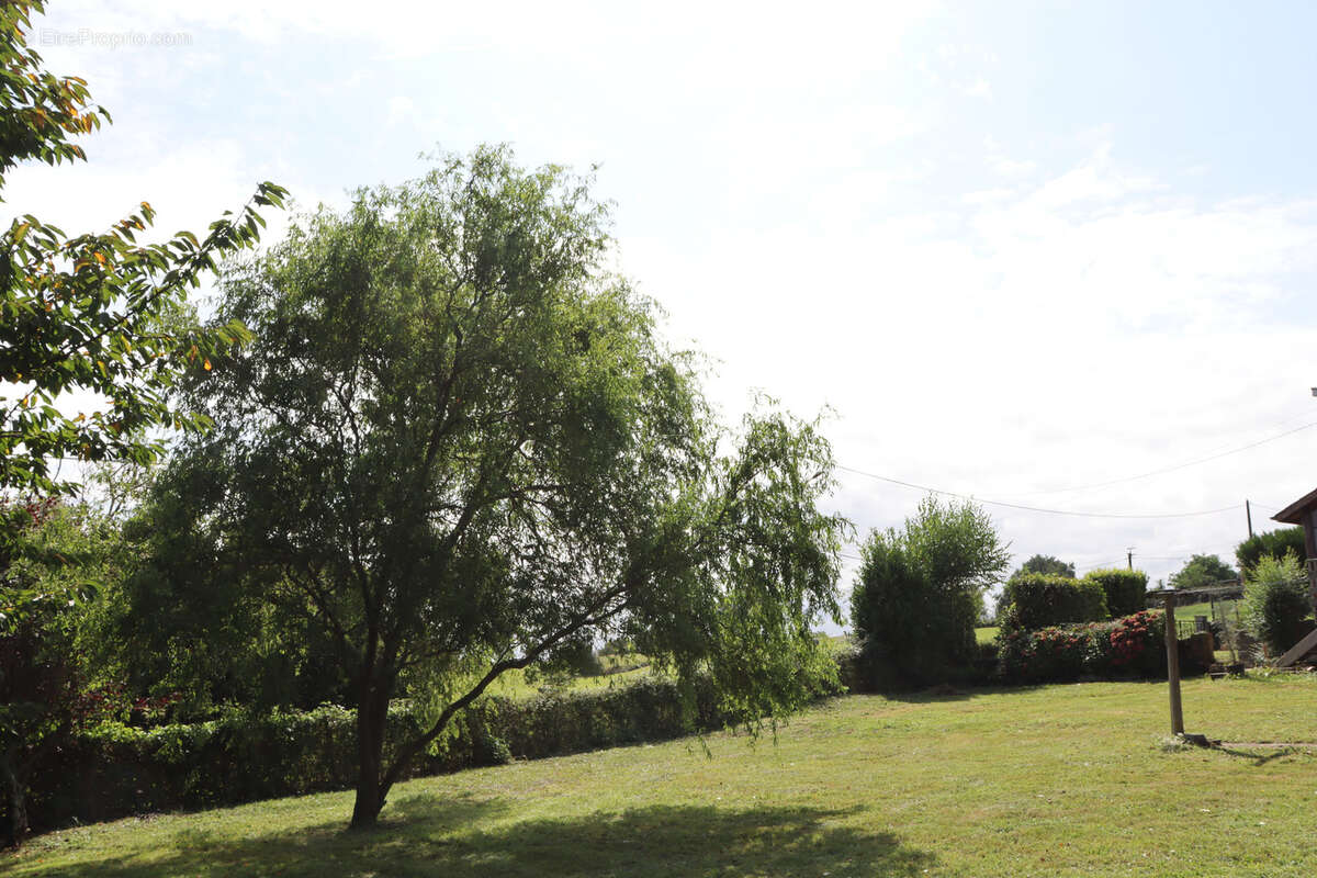 Maison avec jardin arboré et vue dégagée à Oleac-Dessus. EN VIDEO - photo 22