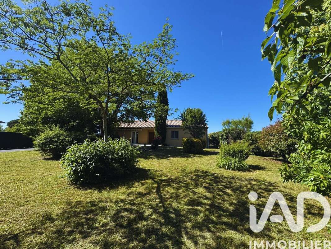 Photo 3 - Maison à LISLE-SUR-TARN