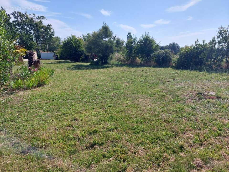 Terrain à LAPEYROUSE-FOSSAT