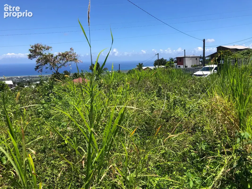 Terrain à SAINT-DENIS