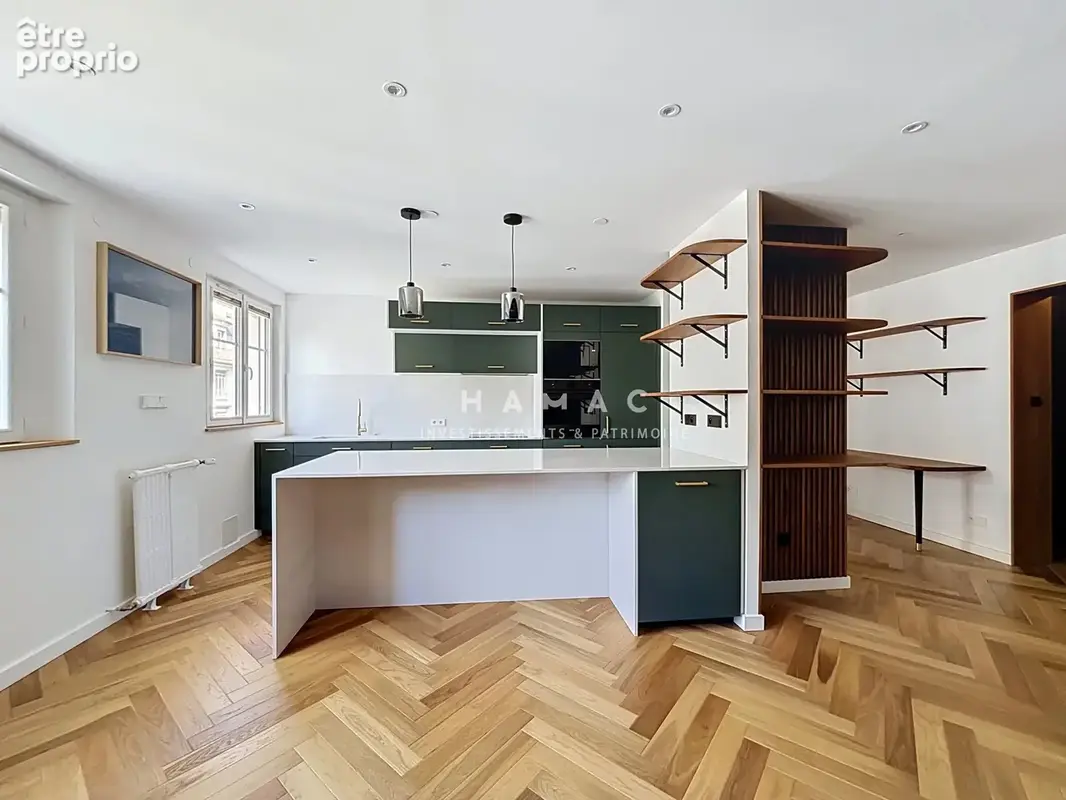 Lyon 7 jean mace - appartement type 3 80m2 refait a neuf etage eleve prestations haut de gamme - photo 12