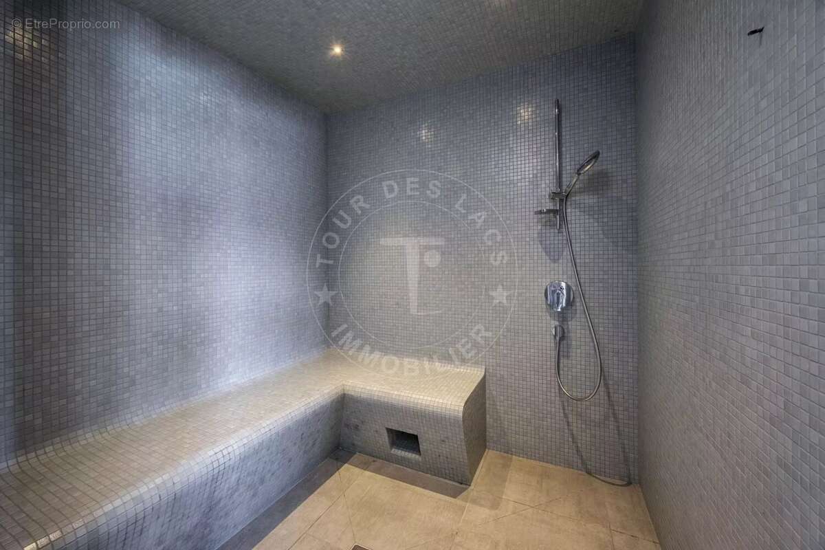 Annecy nord - villa de 4 chambres - 310 m2 au sol - photo 20