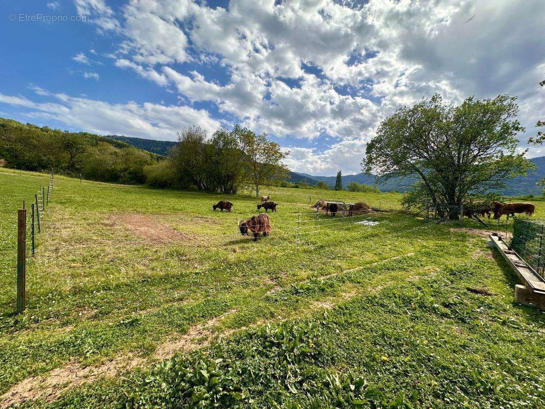 Propriété à vendre - photo 4
