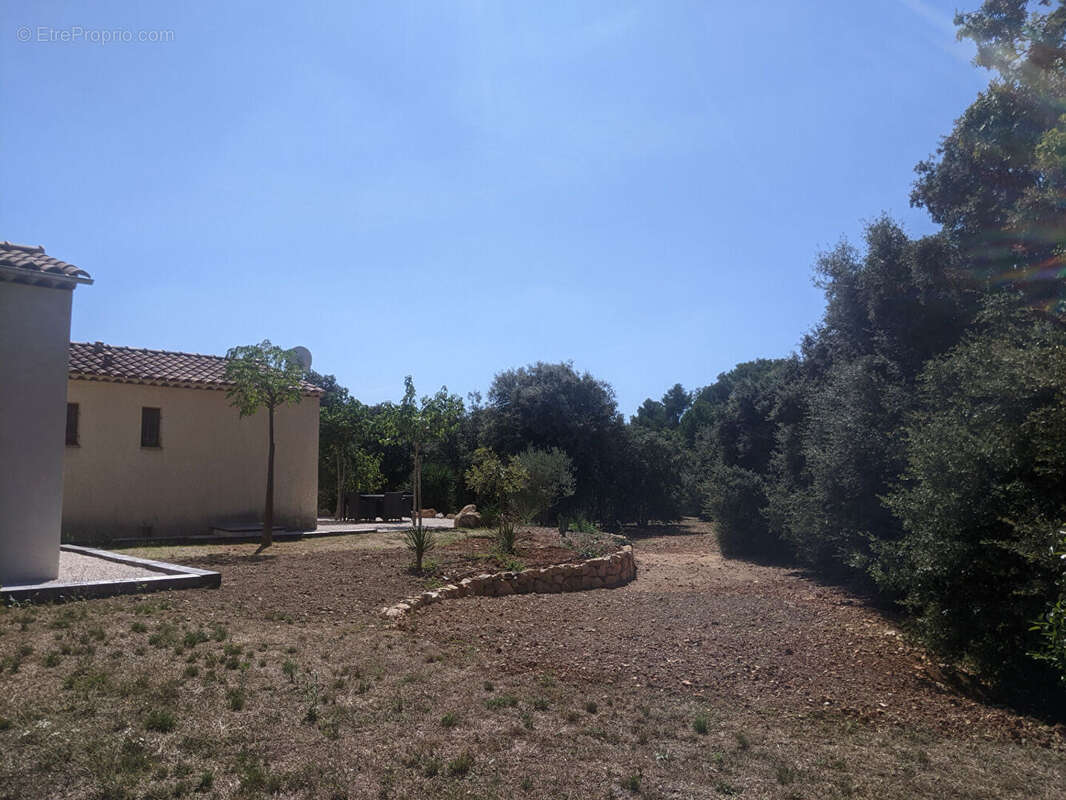MOISSAC BELLEVUE superbe villa avec piscine sur 5800 m2 de terrain clos. - photo 14