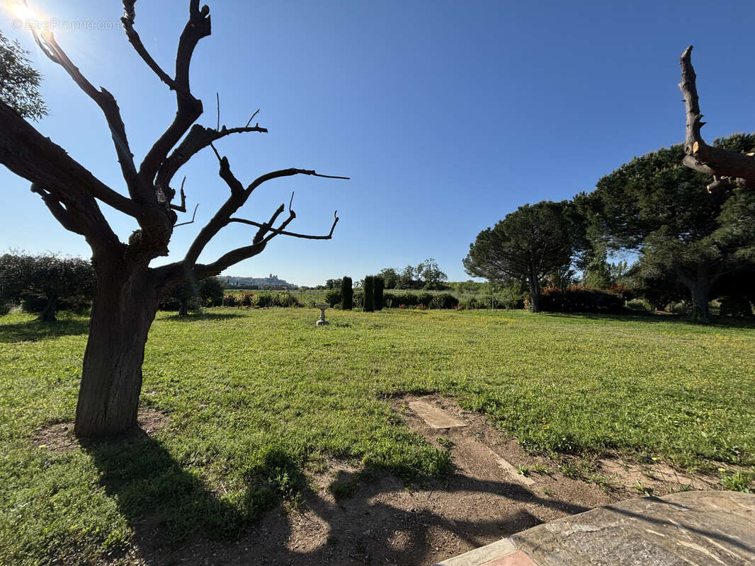 Superbe maison T5 de 162 m2 sur une parcelle de 3 hectares - photo 9