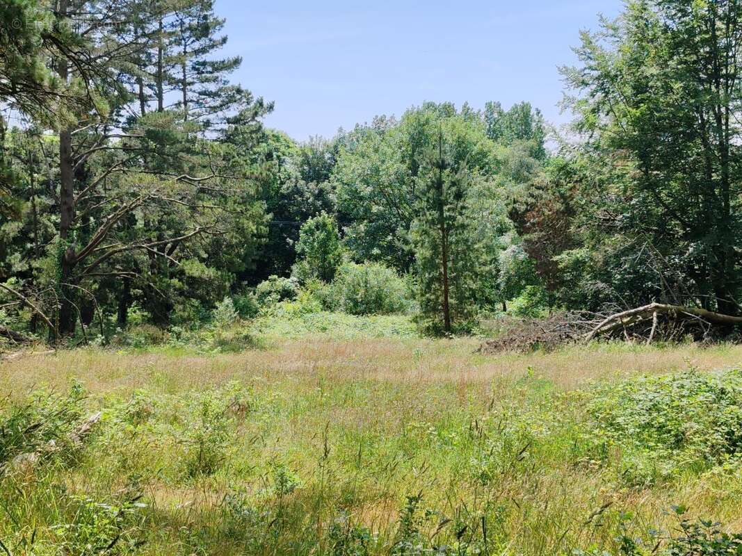 Appartement à PLOUNEOUR-MENEZ