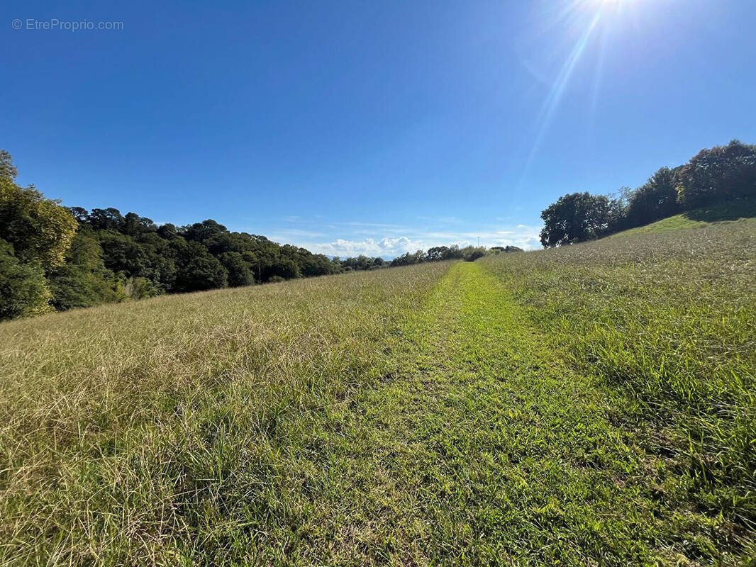 Terrain à BIARRITZ