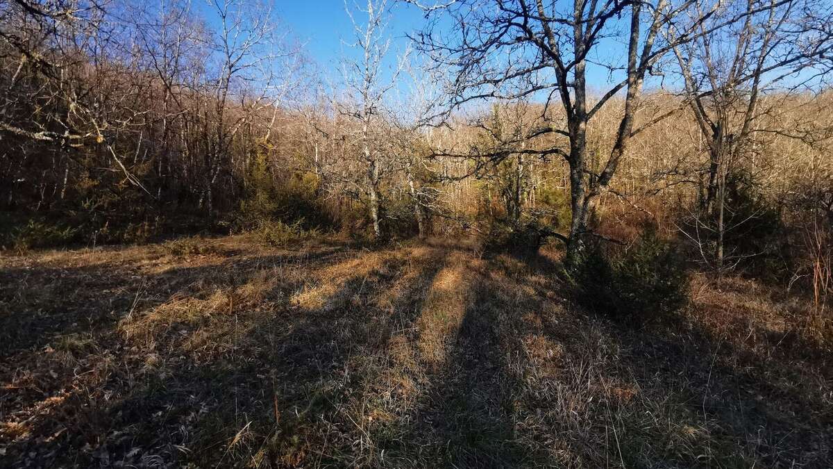 Terrain constructible - photo 3