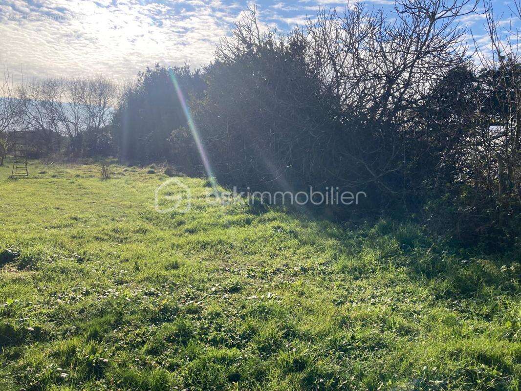 Maison à OLONNE-SUR-MER