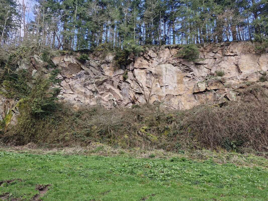 Terrain à TORIGNI-SUR-VIRE