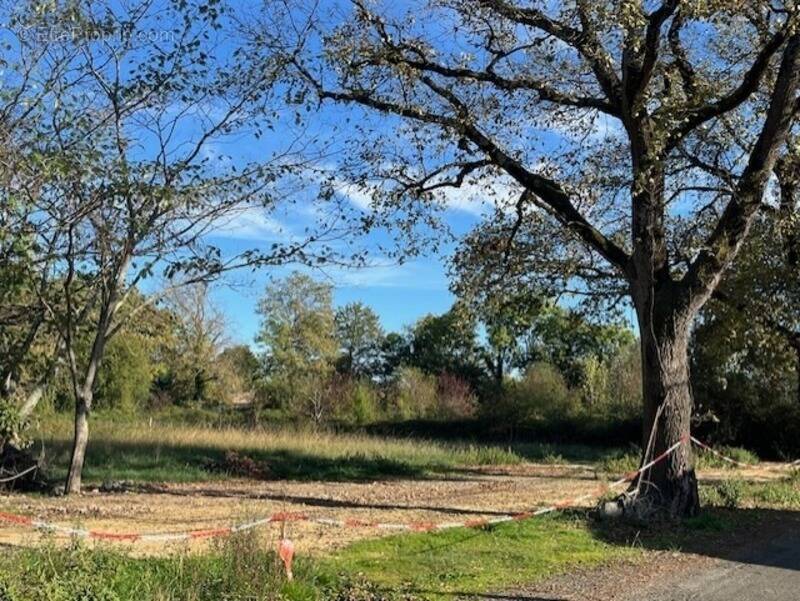 Terrain à PLAISANCE
