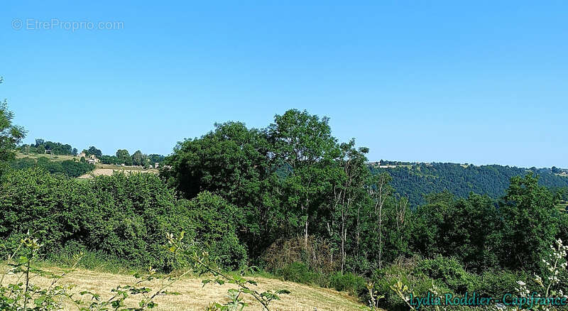 Terrain 4580m2 SAUVIAT-63120 secteur très calme et naturel - photo 4