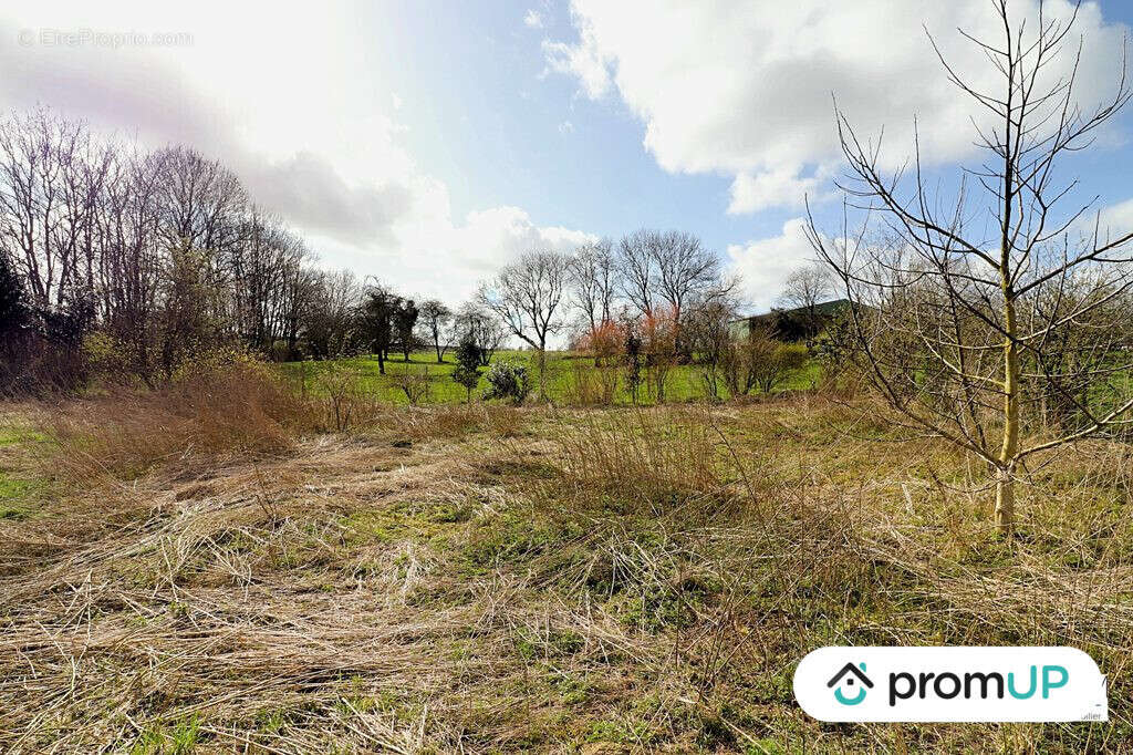 Terrain à BEAUVAL