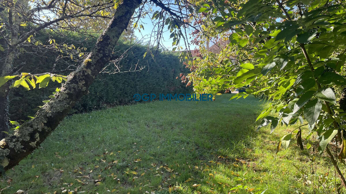 Terrain à VILLEBRUMIER