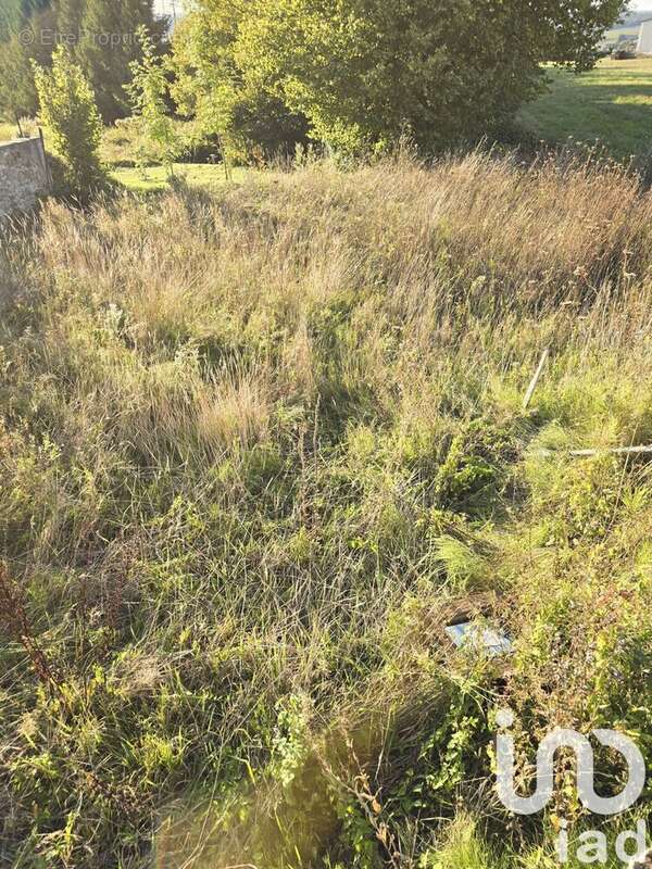 Photo 2 - Terrain à DORMANS