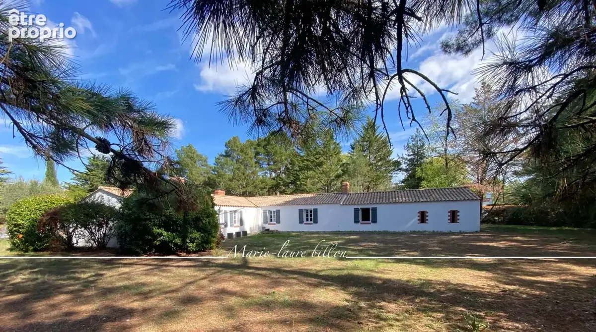 Maison à vendre 7 pièces SAINT HILAIRE DE RIEZ (85), longère+sa maison d'amis+annexes+piscine , parcelle 6000 m2 - photo 10