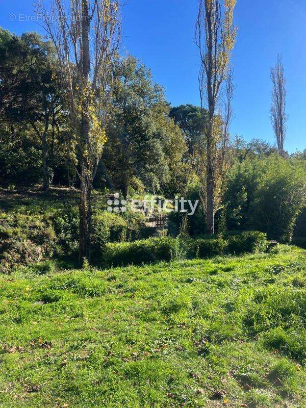 Maison à LA GARDE-FREINET