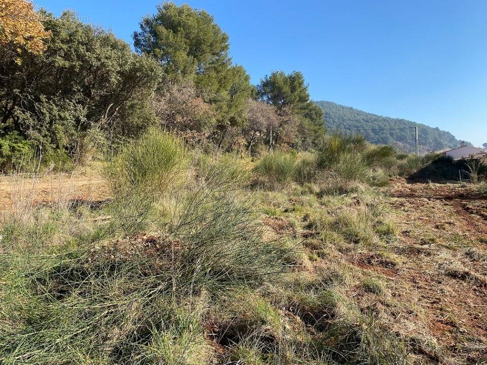 Terrain à PUGET-VILLE