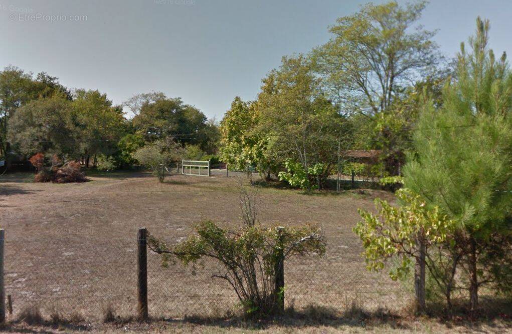 Terrain à BISCARROSSE