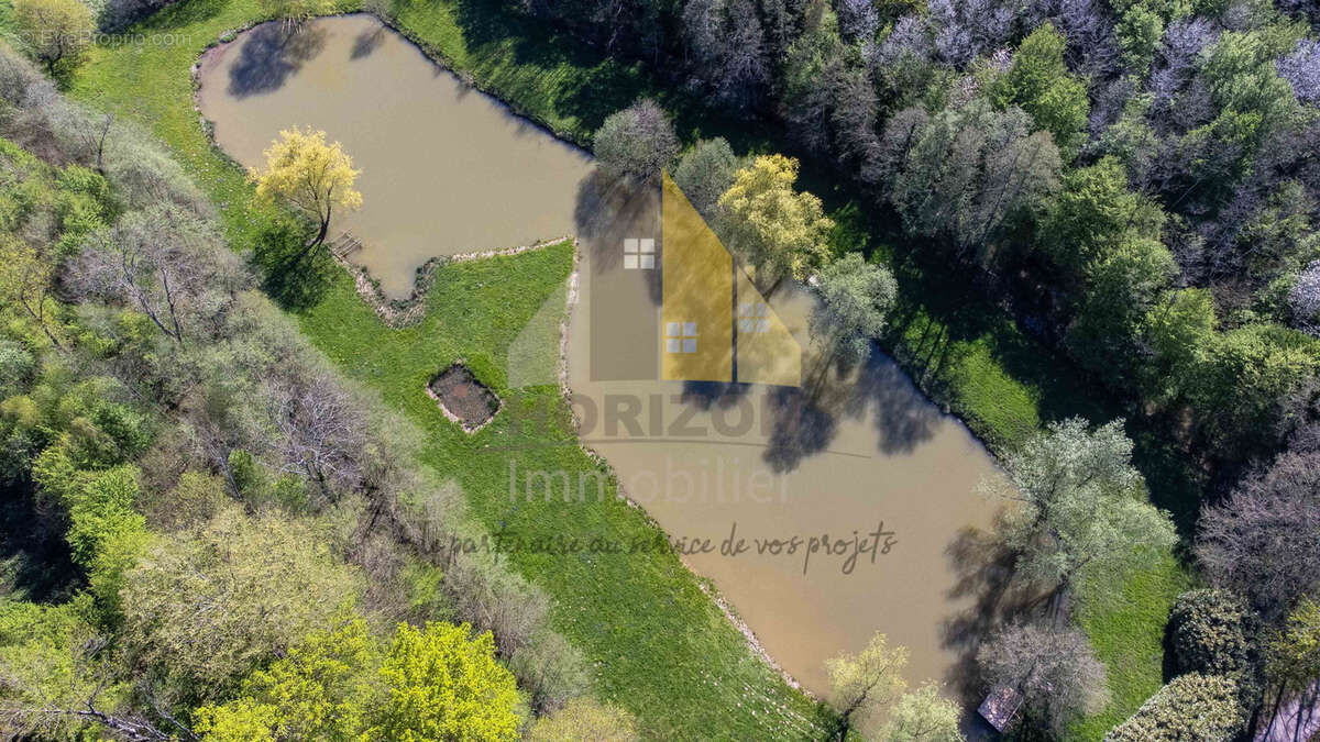 Terrain à SAILLENARD