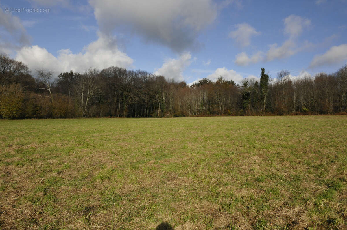 Terrain à VICQ-SUR-BREUILH