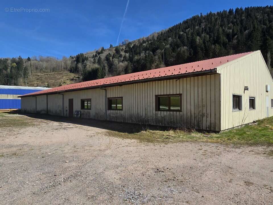 4118 m² à La Bresse  - photo 3