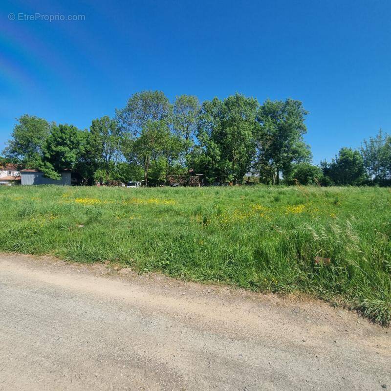 Terrain à LA JONCHERE