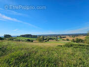 Terrain à BRASSEMPOUY