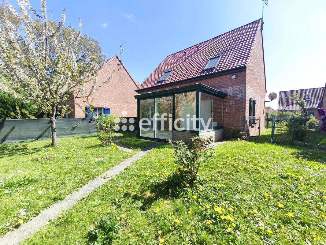 Maison à PERENCHIES