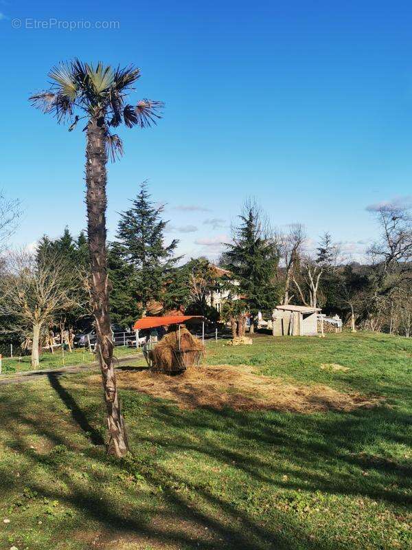 Propriété de 2 maisons avec piscine sur 11ha Armous et Cau ( - photo 16