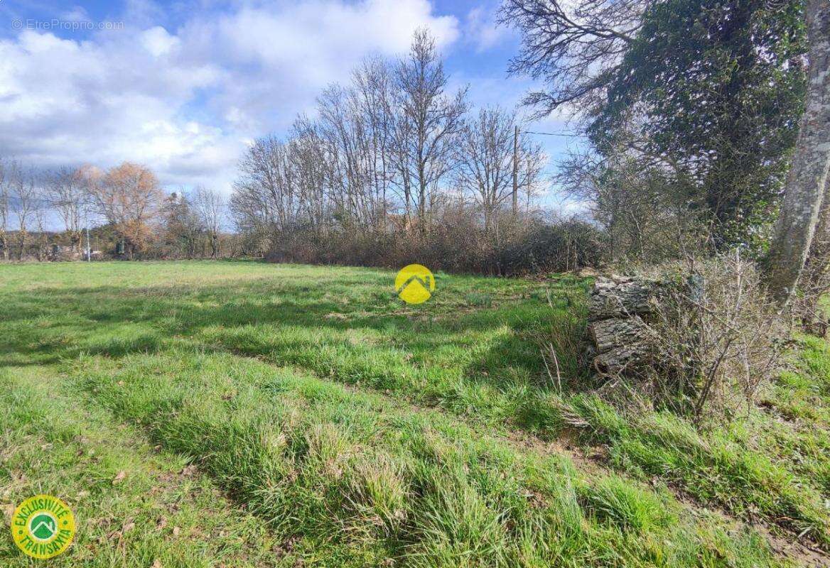 Terrain à MENETOU-COUTURE