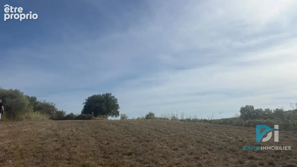 Terrain agricole - photo 6