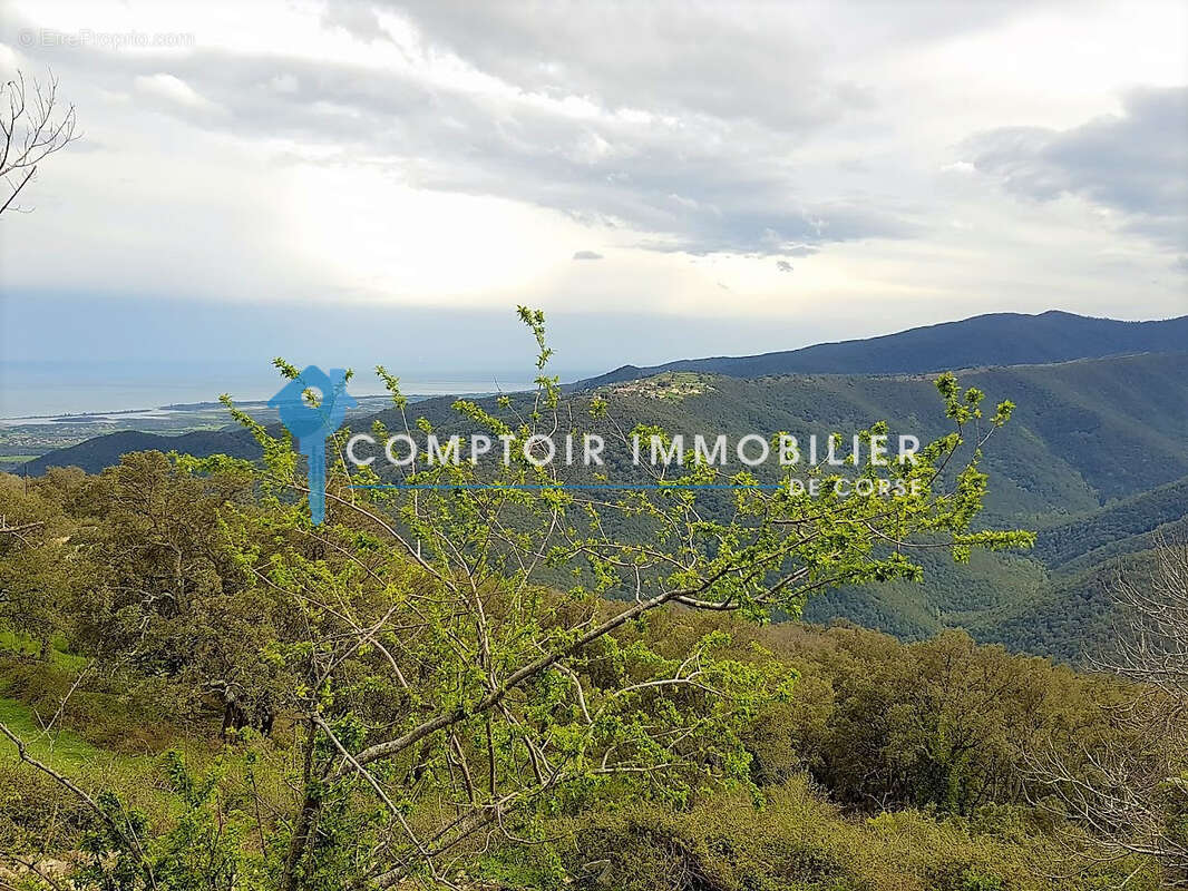 A saisir terrain de 215m2 a vendre a prunelli di fiumorbo! - photo 4