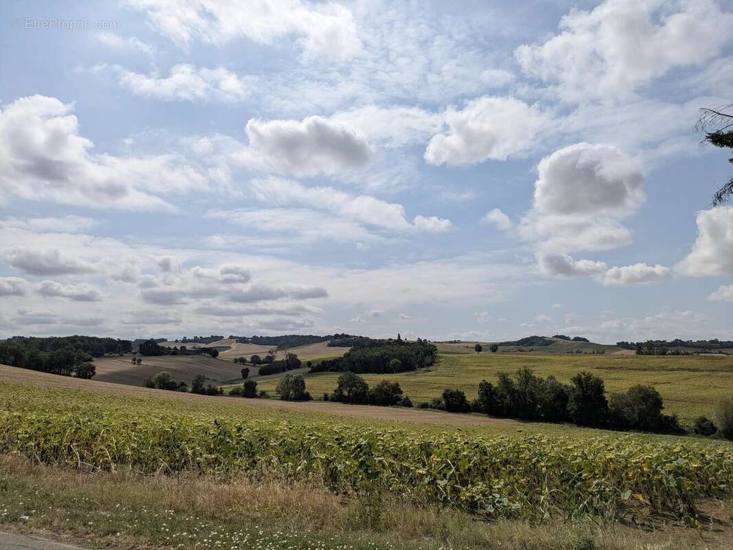 Ancienne ferme de caractère avec vue dégagée, à proximité de Beaumont-de-Lomagne - photo 17