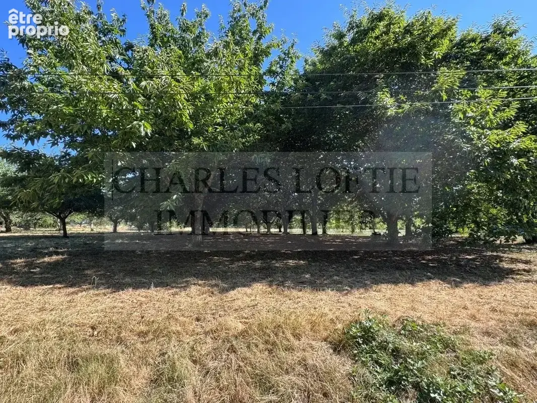 Belle propriété de caractère en pierre avec dépendances et gîte indépendant, 2.8 ha de terrain - photo 31