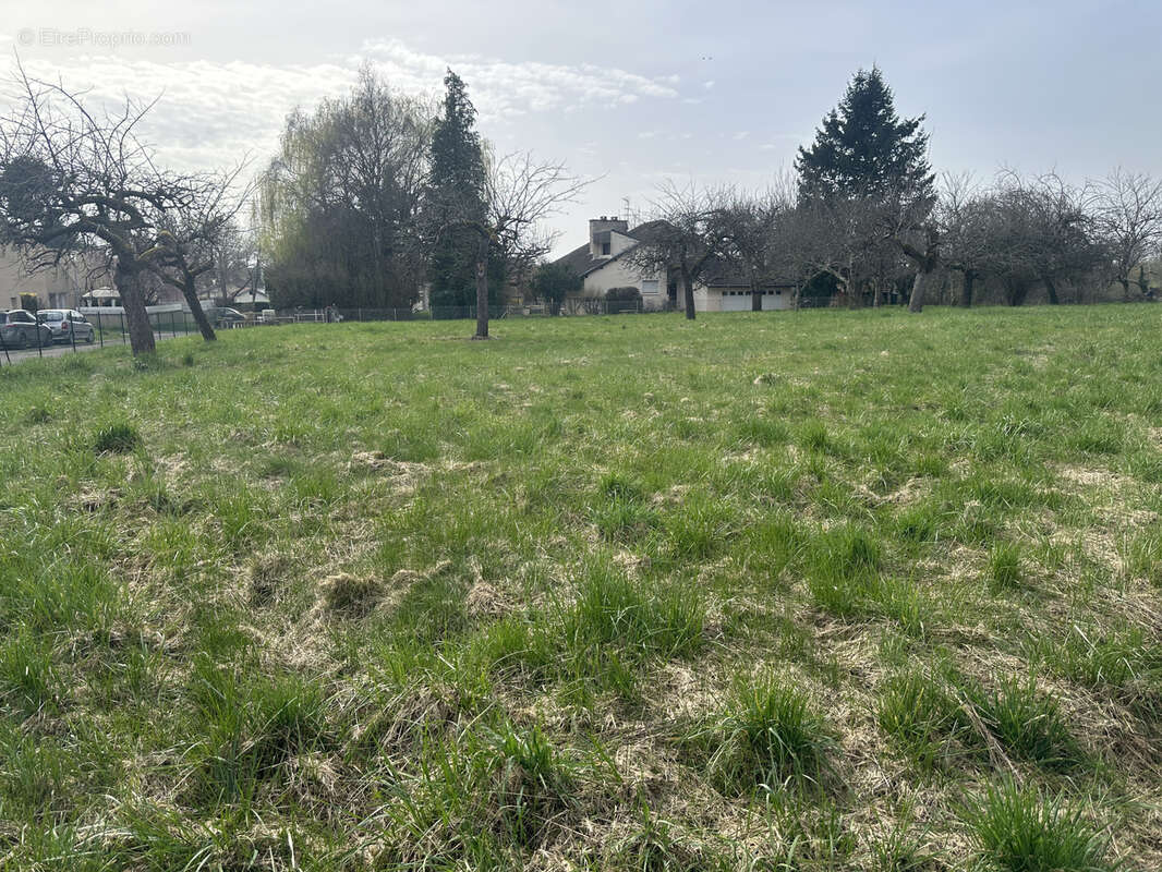 Terrain à PESMES