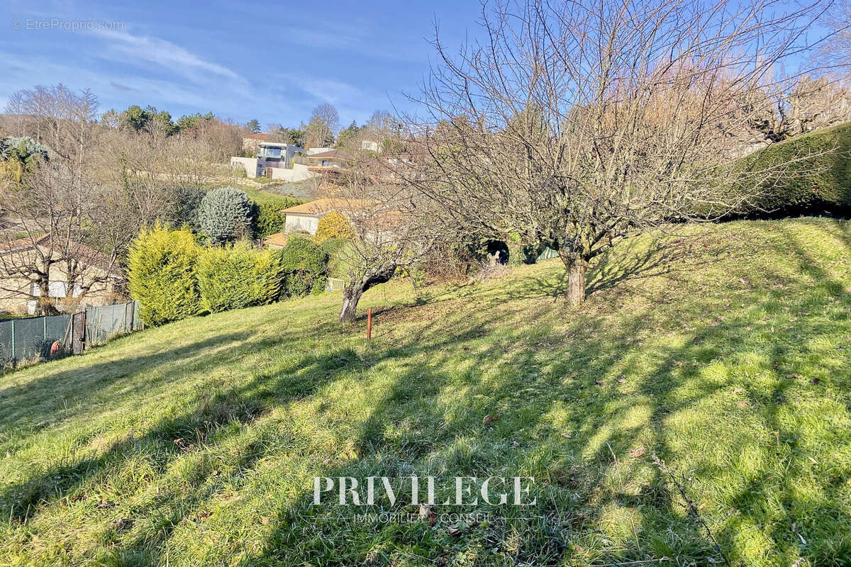 Terrain à SAINT-DIDIER-AU-MONT-D'OR