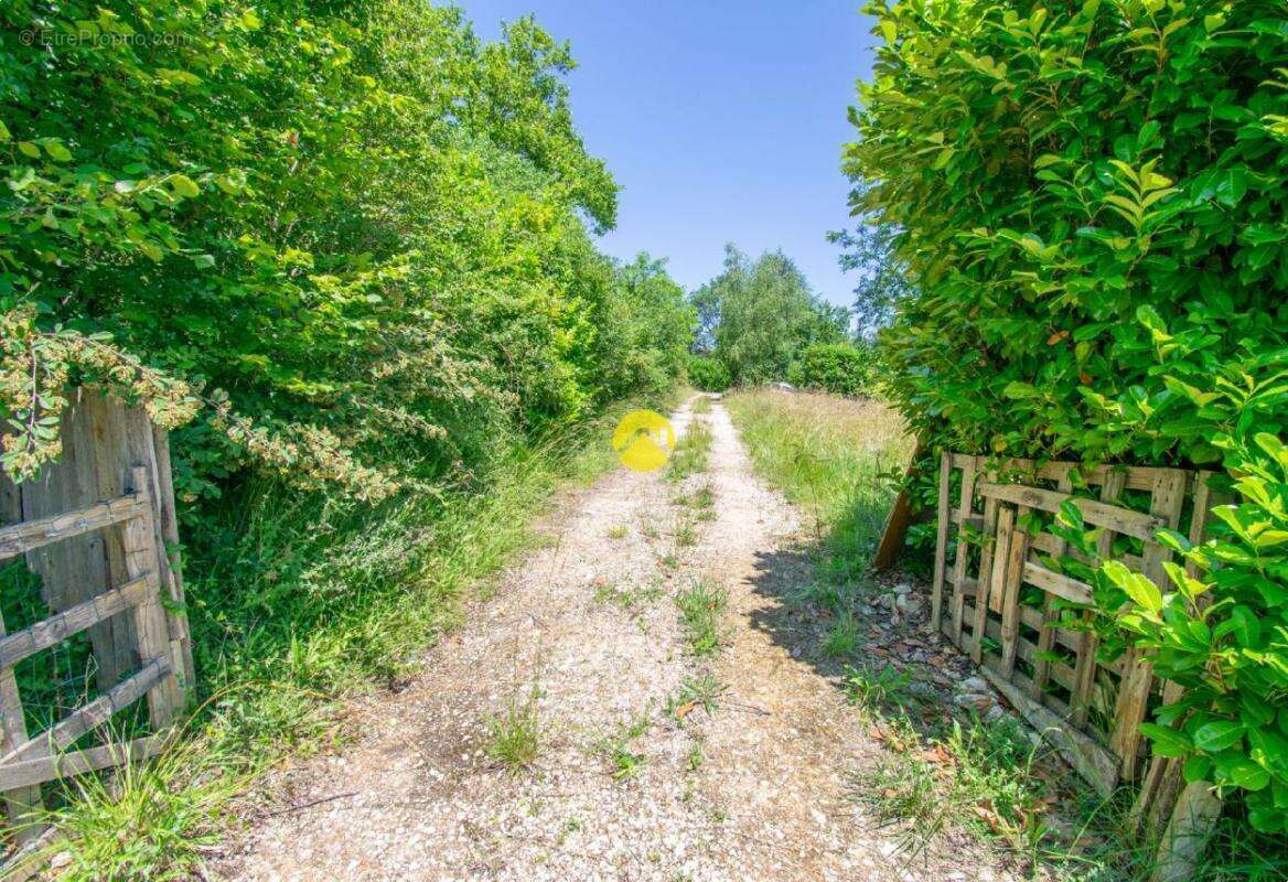 Terrain à SAINTE-ALVERE