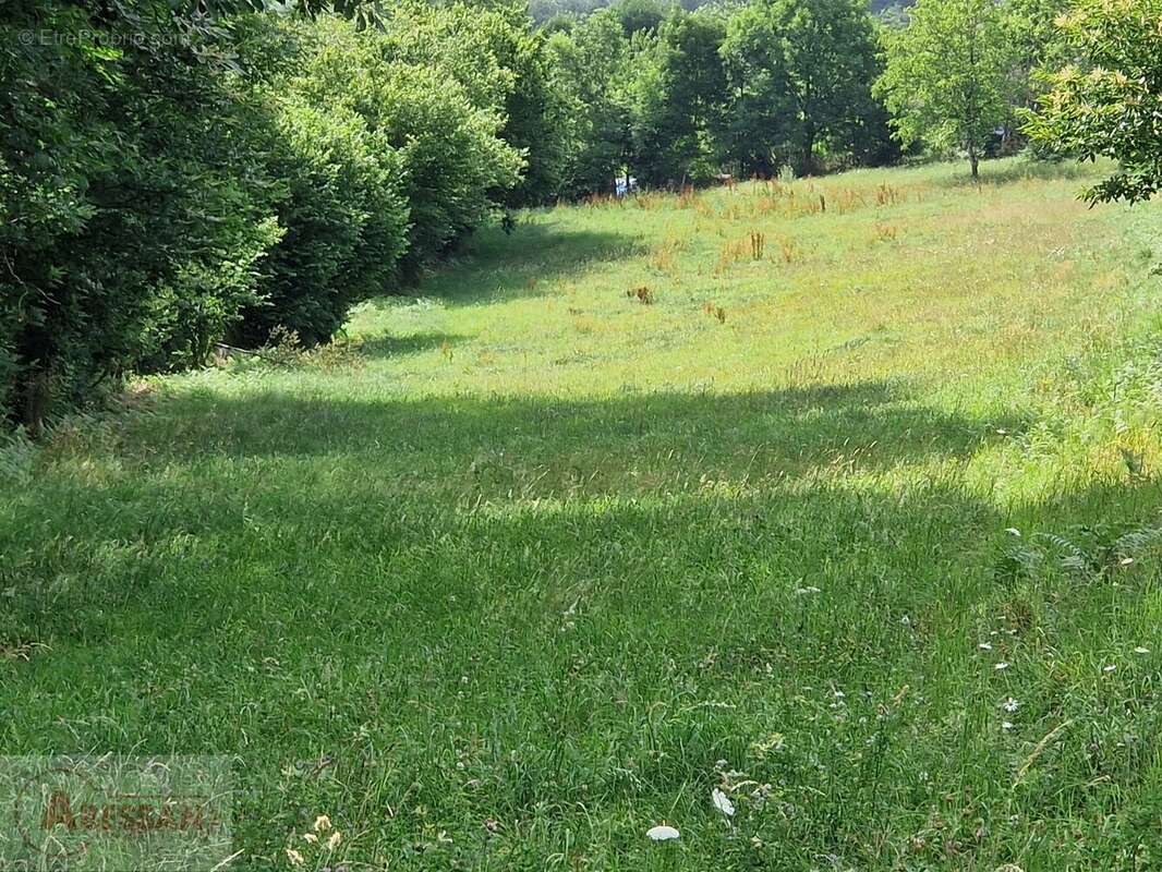 Terrain à VABRE
