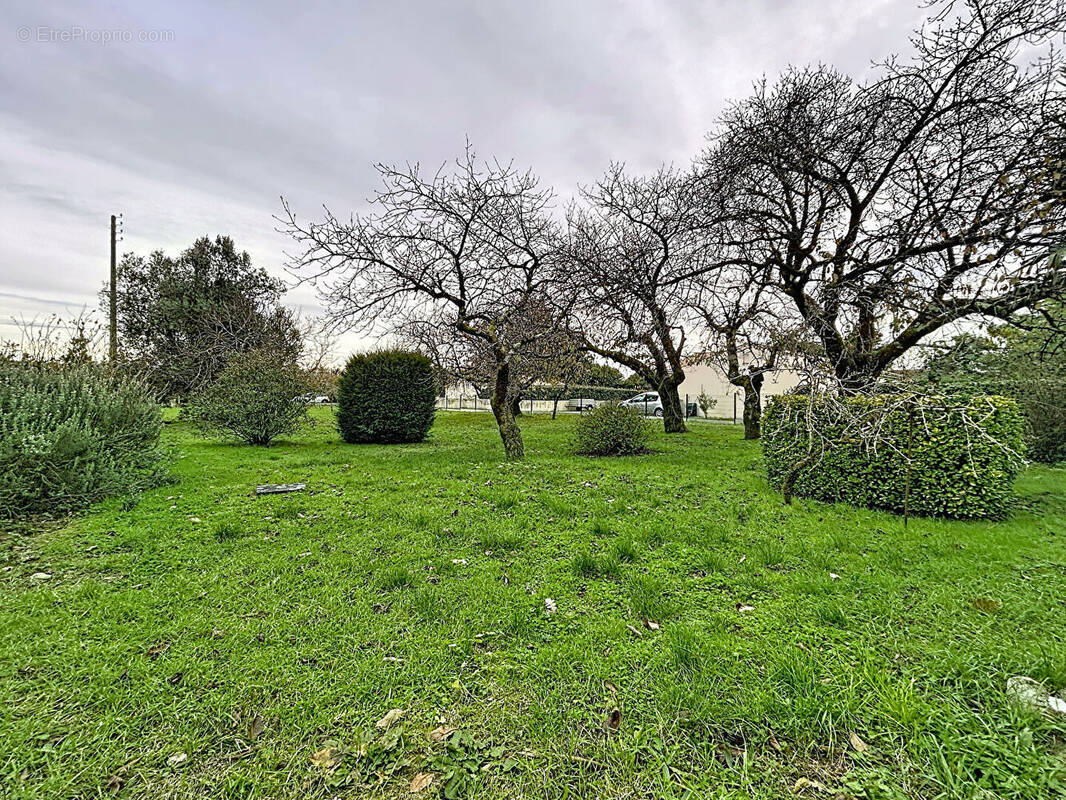 Terrain à SAINT-AGNANT